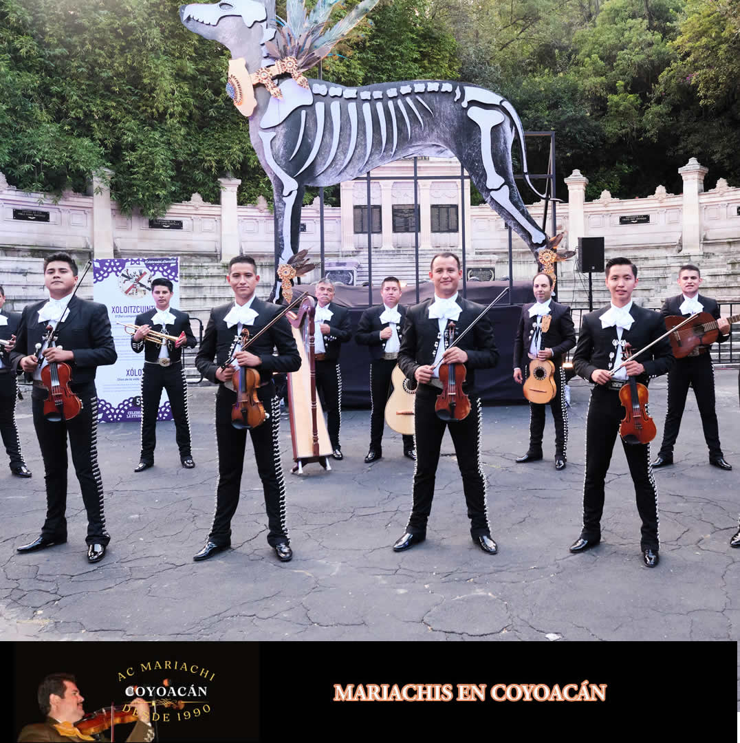 servicio de mariachis en Oxtopulco